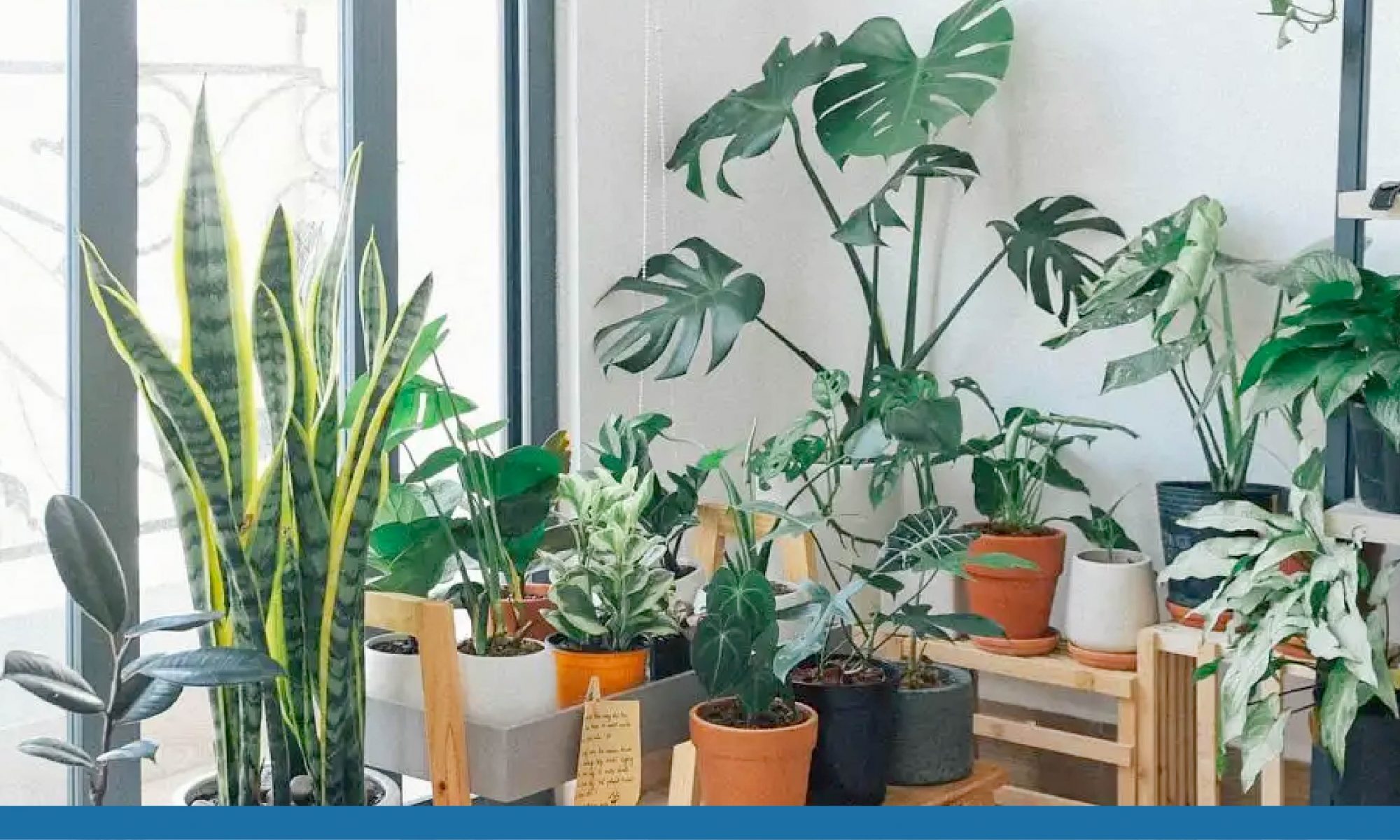 Tallasa City #mantuidaman